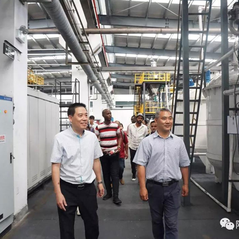 Jin Aiwu, Vice Chairman of Lishui CPPCC, led the national "Bamboo Center" 2019 "the Belt and Road" bamboo producing countries bamboo industry technology training class to Apex
